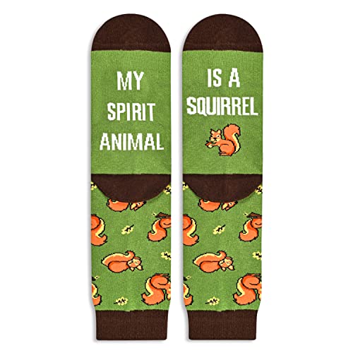 Unisex Squirrel Socks Series