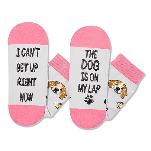 Women Dog Socks Series