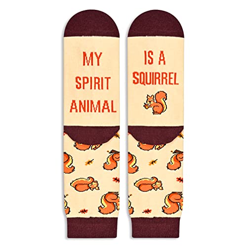 Versatile Squirrel Gifts, Unisex Squirrel Socks for Women and Men, All-occasion Squirrel Gifts Animal Socks