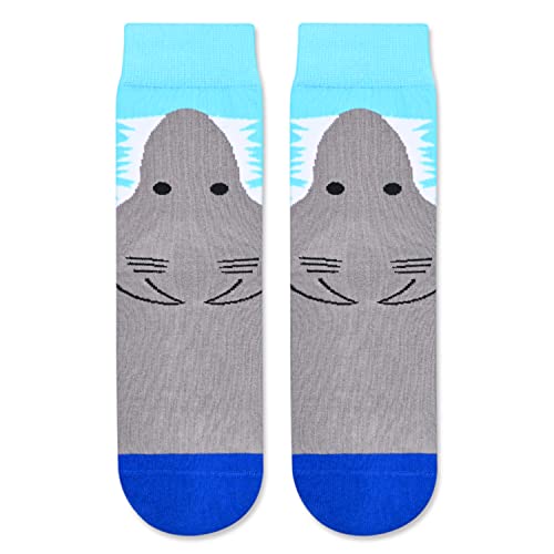 Boys Shark Socks Series