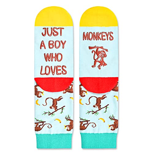 Monkey Boys Blue Socks