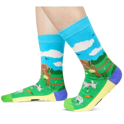 Novelty Donkey Socks, Gifts for Women Men, Funny Donkey Gifts for Donkey Lovers, Animal Socks, Unisex Donkey Themed Socks, Animal Lover Gift, Silly Socks, Fun Socks