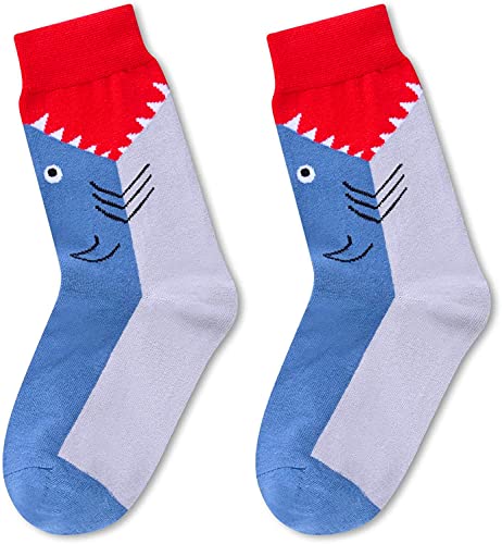 Boys Shark Socks Series