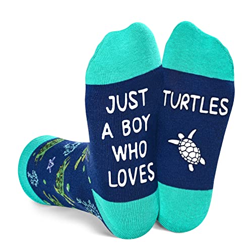 Turtle Boys Socks Green