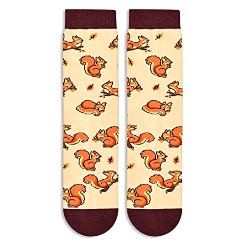 Unisex Squirrel Socks Series