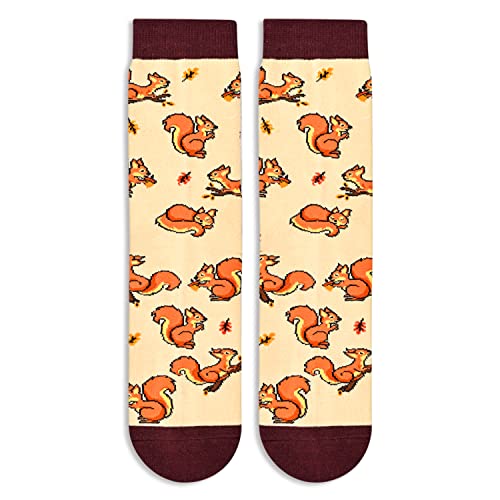Versatile Squirrel Gifts, Unisex Squirrel Socks for Women and Men, All-occasion Squirrel Gifts Animal Socks