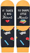 Unisex Novelty Unique Teacher Socks Gifts for Teachers