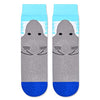 Shark Gifts for Boys Who Love Shark Unique Presents for Children Cute Boy's Shark Socks, Gifts for 7-10 Years Old Boys