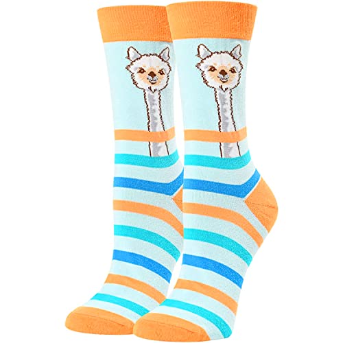 Crazy Womens Llama Socks Gift Ideas for Her Valentines Gifts Llama Gifts for Llama Lovers