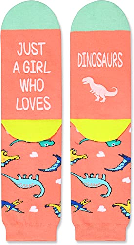Dinosaur Gifts For Women Lovely Animals Socks Gift For Dinosaur Lover Valentine's Birthdays Gift For Her