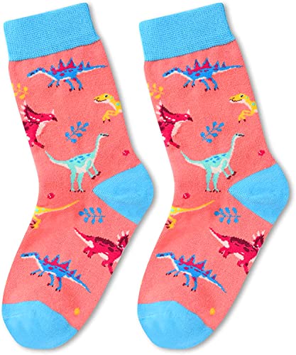 Dinosaur Gifts for Girls, Little Kids Dinosaur Lovers Gifts Best Gifts for Daughter Dinosaur Socks, Gifts for 4-7 Years Old Girls