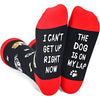 Dog Lovers Gifts Dog Gifts for Women Unique Dog Mom Gifts Dog Themed Gifts Dog Socks