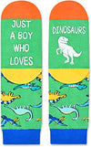 Dinosaur Gifts for Boys and Children Dinosaur Lovers Gifts Best Gifts for Son Cute Dinosaur Socks, Gifts for 7-10 Years Old Boys